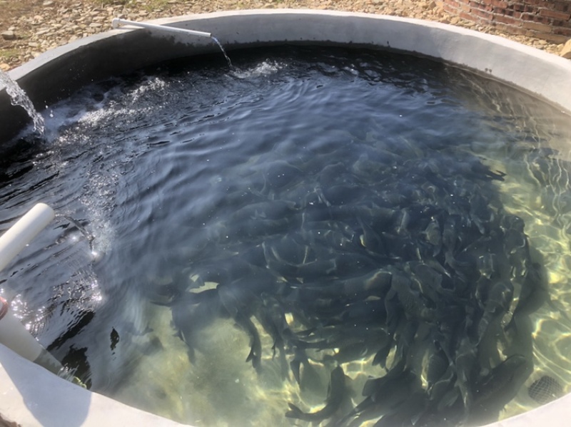 霍山土菜，一道美食文化的盛宴